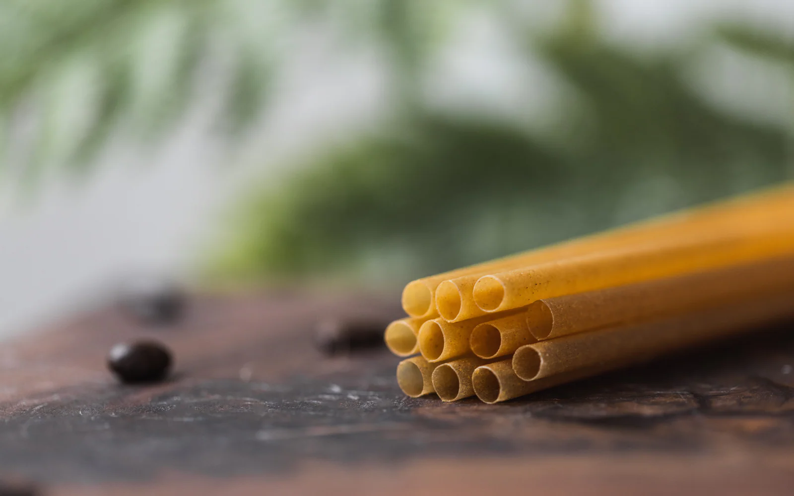 Canada’s Sustainable Straw Revolution